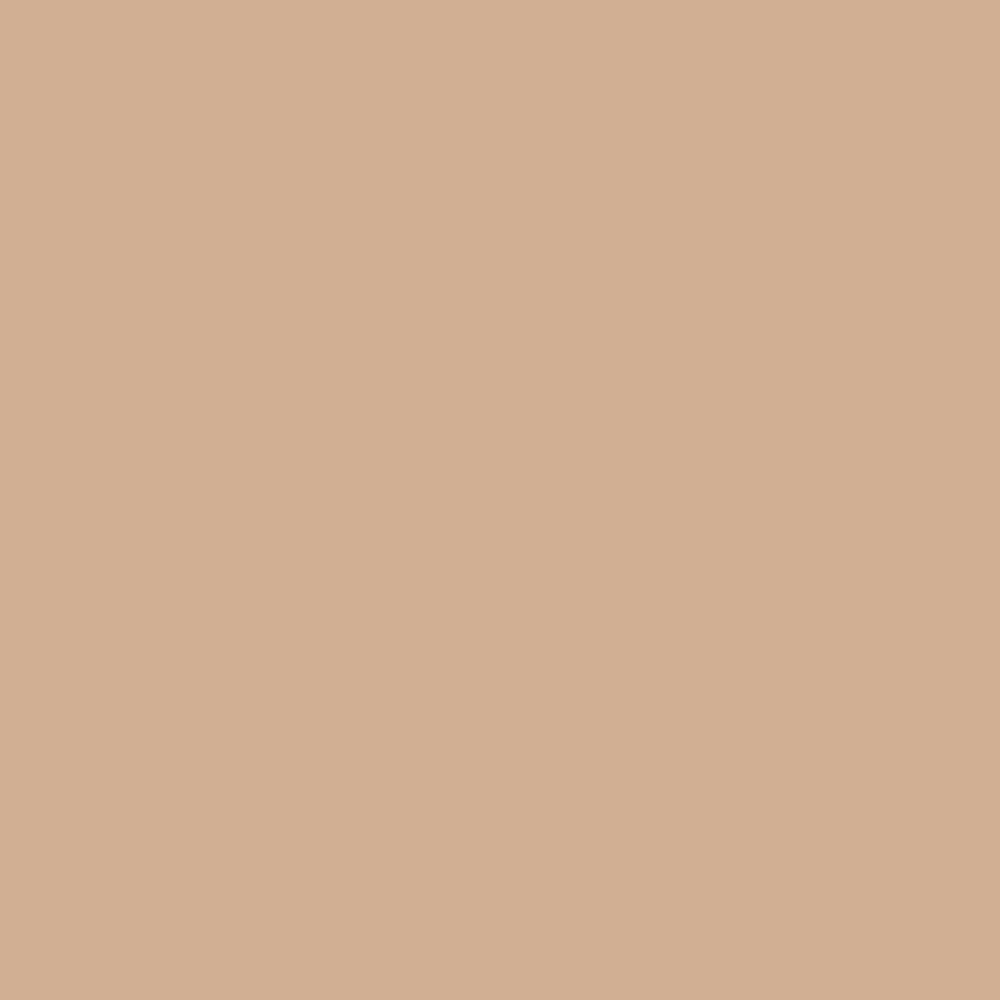 0169 Fossil Tan is a paint colour from the Ulttima Plus Fan Deck. Available at Harris Paints and BH Paints in the Caribbean.