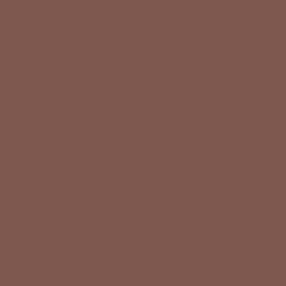 H0136 Burnt Umber is a paint colour from the new Historical Palette. Now available at Harris Paints and BH Paints in the Caribbean.