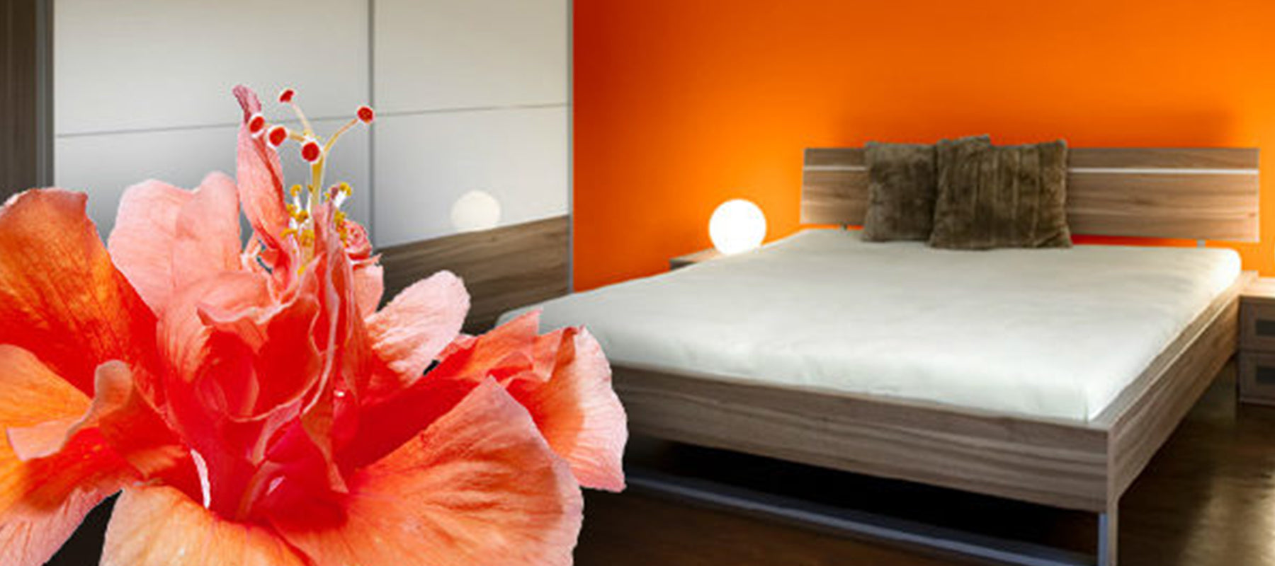 A bedroom with neutral furniture and a bright orange wall, with an orange flower as an overlay. 