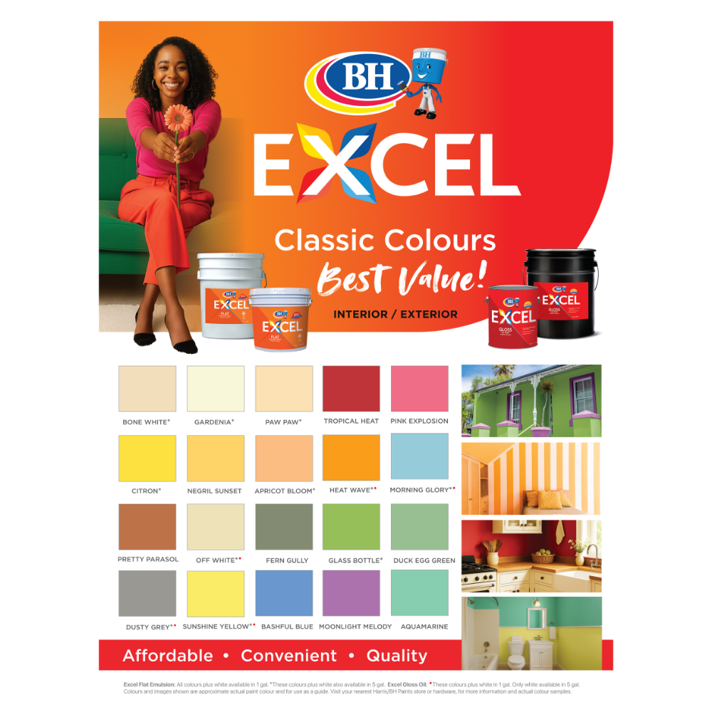 Excel Interior / Exterior Flat Emulsion