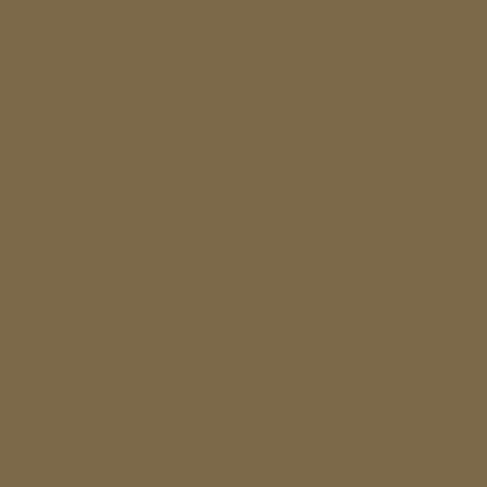 0284 Queen Lioness is a paint colour from the Ulttima Plus Fan Deck. Available at Harris Paints and BH Paints in the Caribbean.