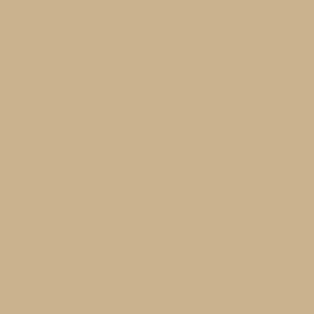 0289 Prairie Sand is a paint colour from the Ulttima Plus Fan Deck. Available at Harris Paints and BH Paints in the Caribbean.