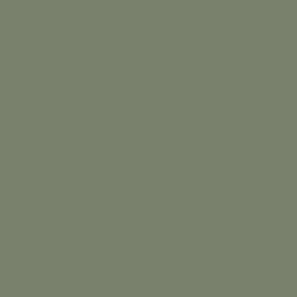 0437 Bowling Green is a paint colour from the Ulttima Plus Fan Deck. Available at Harris Paints and BH Paints in the Caribbean.