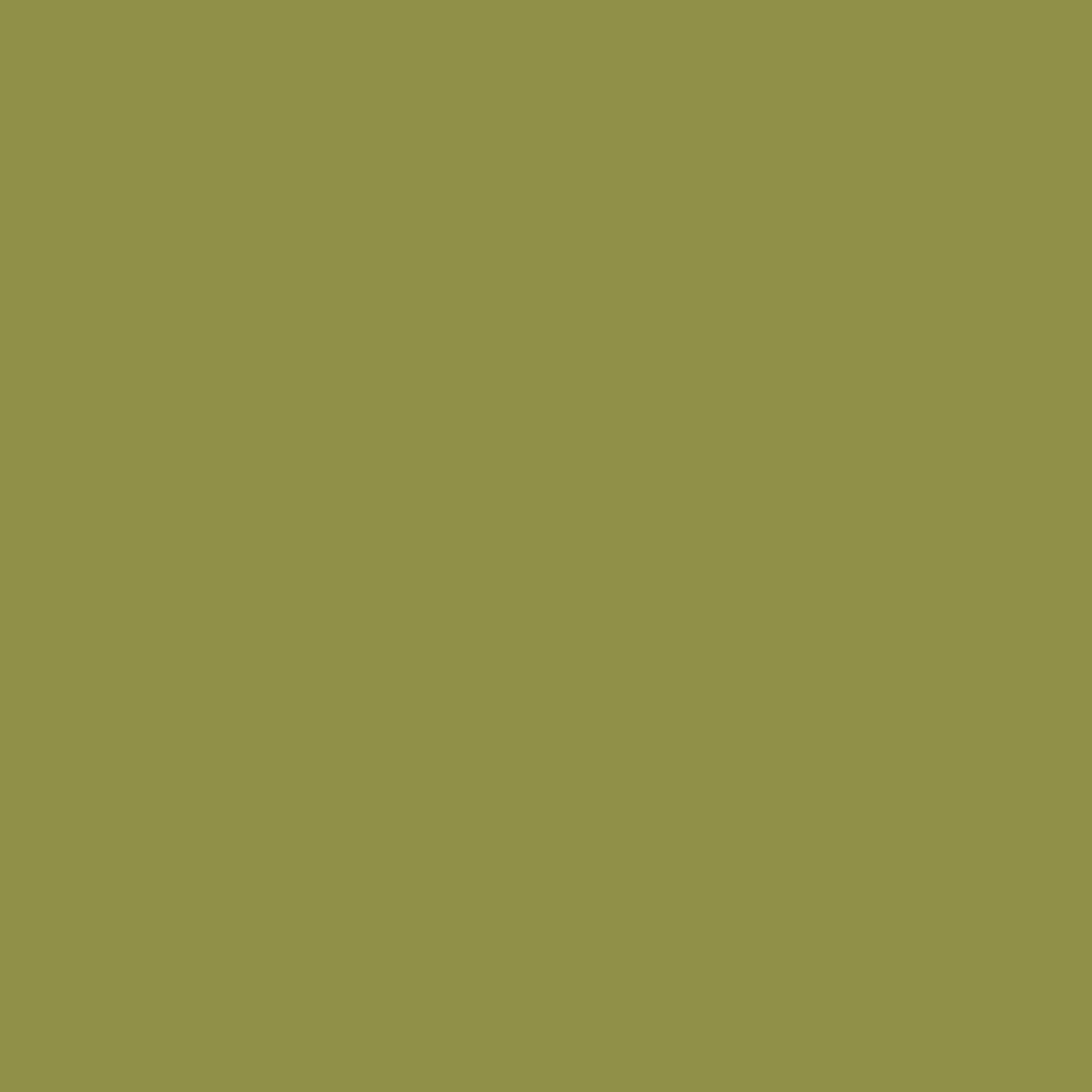 0795 Martina Olive is a paint colour from the Ulttima Plus Fan Deck. Available at Harris Paints and BH Paints in the Caribbean.