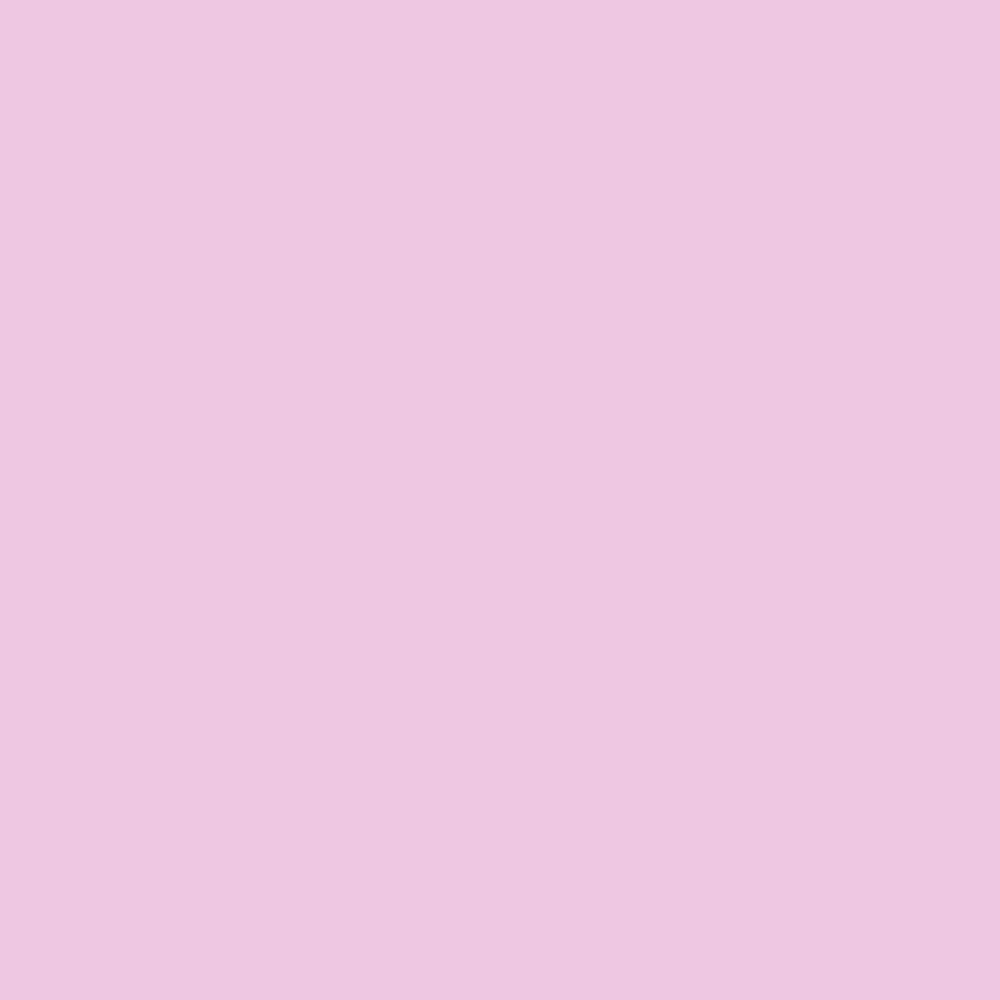 1162 Venetian Rose is a paint colour from the Ulttima Plus Fan Deck. Available at Harris Paints and BH Paints in the Caribbean.