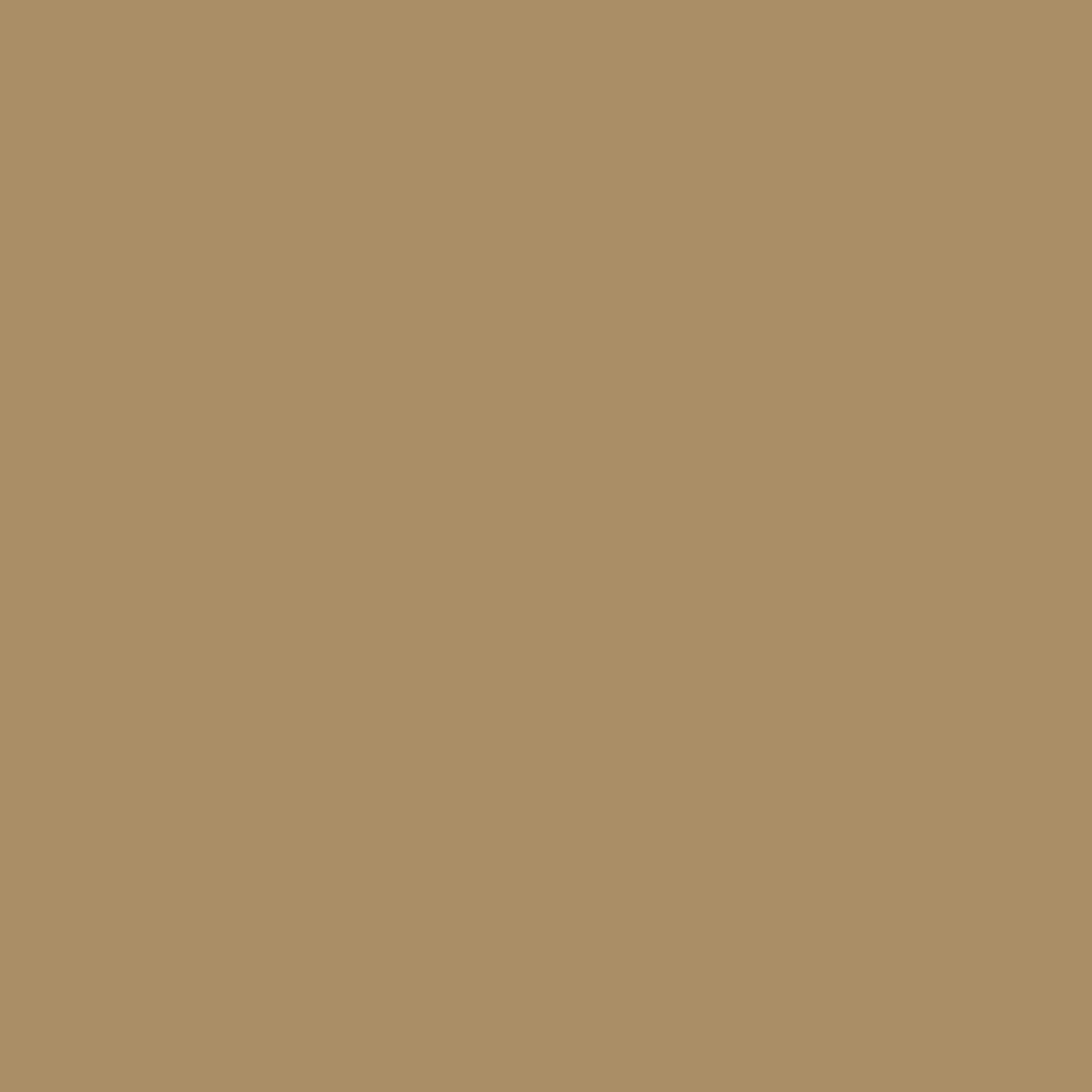H0031 Canyon Gold is a paint colour from the new Historical Palette. Now available at Harris Paints and BH Paints in the Caribbean.