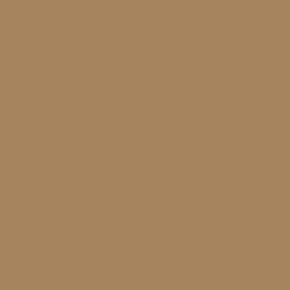 H0124 Toffee is a paint colour from the new Historical Palette. Now available at Harris Paints and BH Paints in the Caribbean.